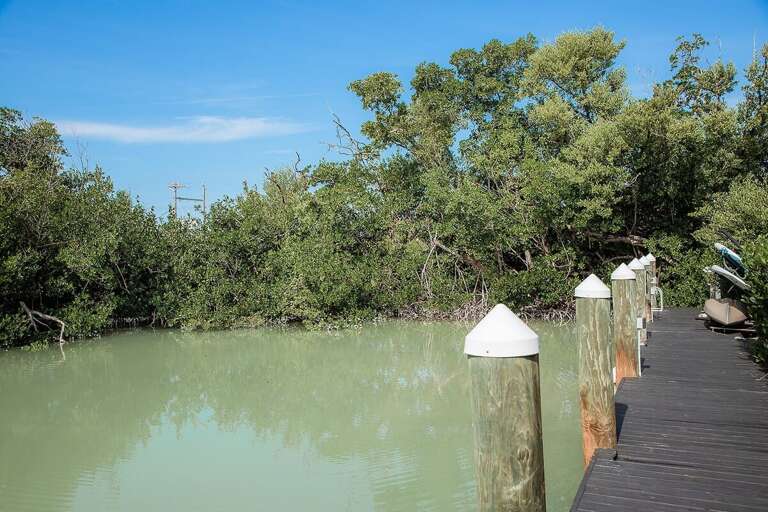 Private 40` dock for easy access to the waters.